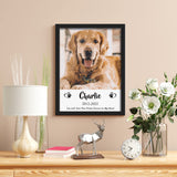 DPDP Personalized Pet Memorial Gifts – Custom Diamond Painting Kits with Photo Text, Sympathy Pet Remembrance for Loss of Animal Dog Cat (Round Drill, 11.8×15.7 Inch) 11.8×15.7inch/30×40cm DPDP