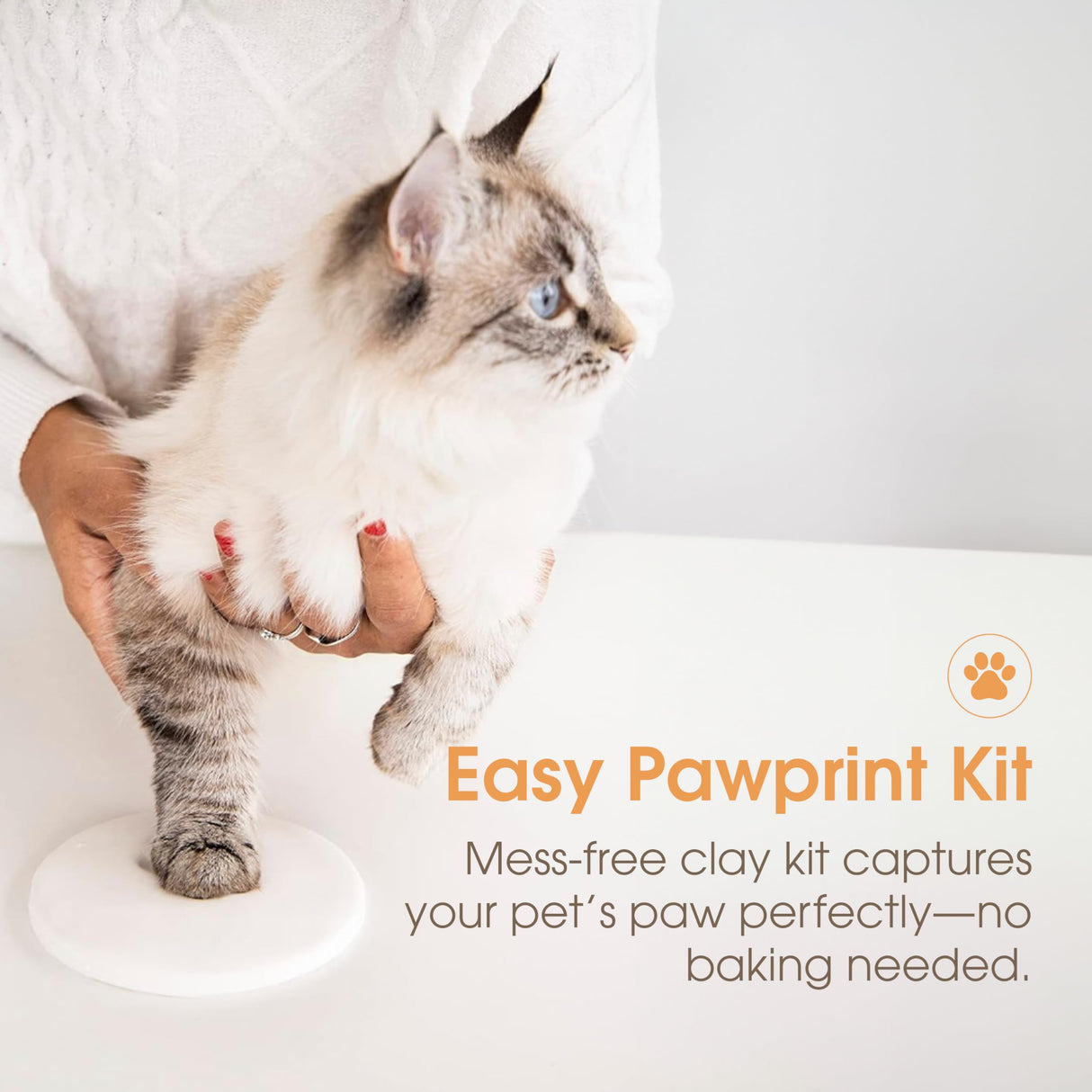 Pearhead Pet Paw Print Photo Frame With Clay Imprint Kit - Wooden Pet Paw Print Frame, DIY Memorial Keepsake for Cats and Dogs, No Mess Clay for Perfect Pawprints, Ideal Home Decor and Gift, Black Pearhead