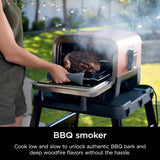 Ninja Woodfire Outdoor Pizza Oven, 8-in-1 Portable Electric Roaster Oven, Heats up to 700°F, 5 Artisan Pizza Settings, Integrated BBQ Smoker Box, Includes Flavored Wood Pellets, Red (Renewed) Ninja