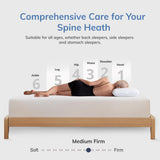 SynthoSpace Queen Mattress 8 Inch Green Tea Memory Foam Mattress, Fiberglass Free & Medium Firm, CertiPUR-US Certified Foam for Cool Sleep & Pressure Relief, Bed in a Box, 60"×80"×8" SynthoSpace