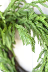 Afloral Real Touch Norfolk Pine Wreath - 24" Afloral