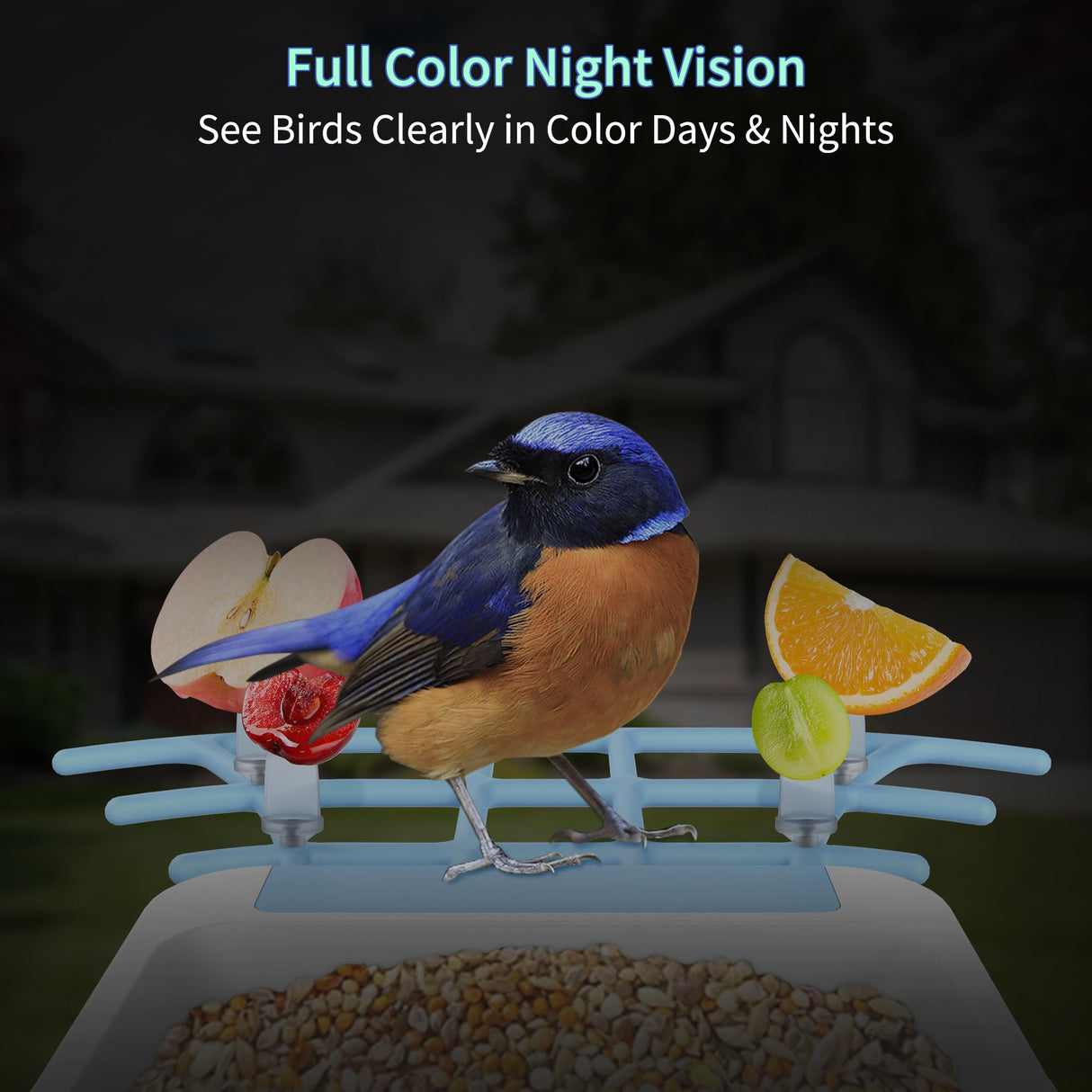 Twesync Smart Bird Feeder with Camera Solar Powered, 1080P HD AI Identify Wild Bird Feeder Camera Twesync