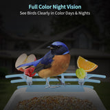 Twesync Smart Bird Feeder with Camera Solar Powered, 1080P HD AI Identify Wild Bird Feeder Camera Twesync