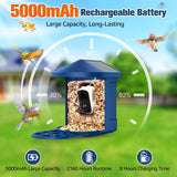 PeckCam® Bird Feeder with Camera, 2K HD AI Identify Birds Species, Bird Feeder with Camera Solar Powered, Auto Record Birds Video, Instant Notifications, Ideal Gifts for Family and Bird Lovers PeckCam