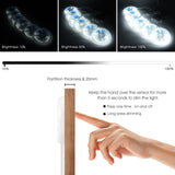 Under Cabinet COB LED Light Strip Kit,12V 6 Rolls 3.3FT White COB LED Strip Lights with Penetrable Wooden Board Hidden Touch Sensor Switch for DIY Kitchen,Wardrobe,Shelf,Display Cabinet Ligting Living Amazy