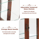 Dolonm Curio Cabinet with Tempered Glass Doors, Curio Cabinets with Mirrored Back Panel and Adjustable Shelves, Lighted Display Cabinet for Home, Dolonm