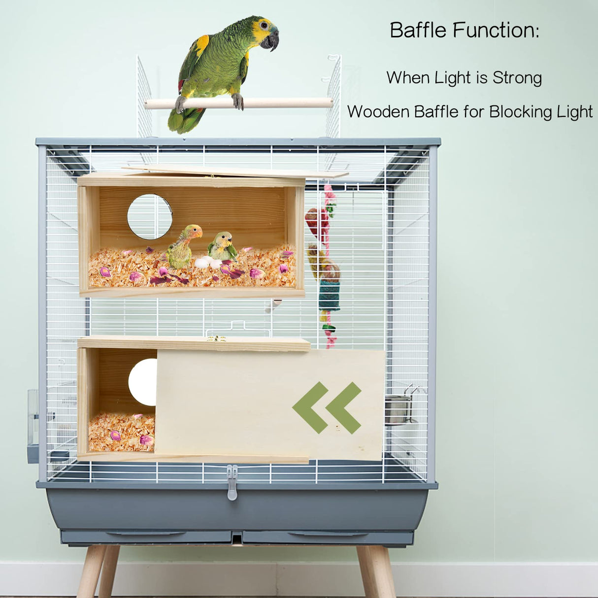 CooShou Parakeet Nesting Box Cockatiel Nesting Natural Pine Bird Nest Bird Breeding Box House Acrylic Transparent Bird Box with Detachable Wooden Board for Lovebirds Cockatiel Budgie Conure Parrot S CooShou