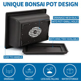 Sproutix Bonsai Starter Kit, 5 Seeds Growing into Acacia, Wisteria, Sakura, Red Maple and Black Pine, Including Complete Gardening Tools with A Gift Box, Christmas Gifts for Men Women Beginners SPROUTIX