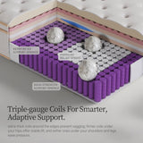 HIRELIX 14 Inch Queen Hybrid Mattress, Medium Firm with Memory Foam and Individually Wrapped Pocket Coils, Fiberglass-Free, CertiPUR-US Certified HIRELIX