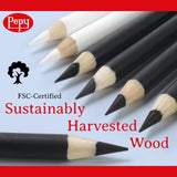 Pepy Professional Hard Charcoal Pencil Set – Set of 6 Pre-Sharpened Black Charcoal Pencils; Perfect for Drawing, Sketching, Blending and Shading Pepy