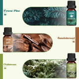 Nature Essential Oils Set, ARVIDSSON Natural Fragrance Oils for Candle Making, Fresh Cut Grass, Ocean Breeze, Rain, Pine, Sandalwood, Oakmoss, Diffuser Scented Oils ARVIDSSON
