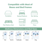 EGO White 8 Inch King Memory Foam Mattress, Cooling Gel Green Tea Mattress Bed in a Box, CertiPUR-US Certified, 76"x80", Medium Firm MLILY