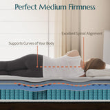 ZLNDR Full Size Mattress 12 Inch Deluxe Hybrid Mattresses Without Fiberglass, Medium Firm with Cooling Gel Memory Foam and Pocket Coil for Pressure Relief, Motion Isolation, Edge Support, CertiPUR-US ZLNDR