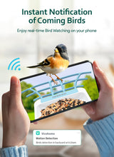 Osoeri Smart Bird Feeder with Camera, 1080P HD AI Identify Wild Bird Watching Camera, Auto Capture Bird Videos & Motion Detection, DIY Add-ons & Osoeri