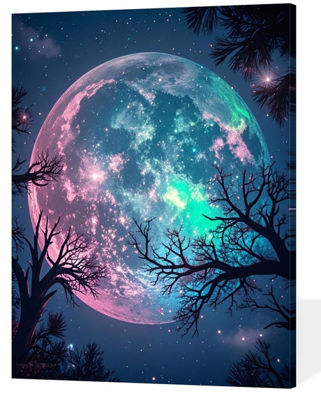 ACANDYL Moon Paint by Numbers Kit for Adults Beginner Paint by Numbers for Adults Canvas Painting by Number DIY Acrylic Oil Painting on Canvas Arts Craft Decoration 16x20 Inch ACANDYL