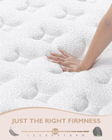 BedStory Queen Mattress - 12 Inch Hybrid Mattress with Individually Wrapped Coils - Pressure Relief and Motion Isolation, Medium Firm BedStory