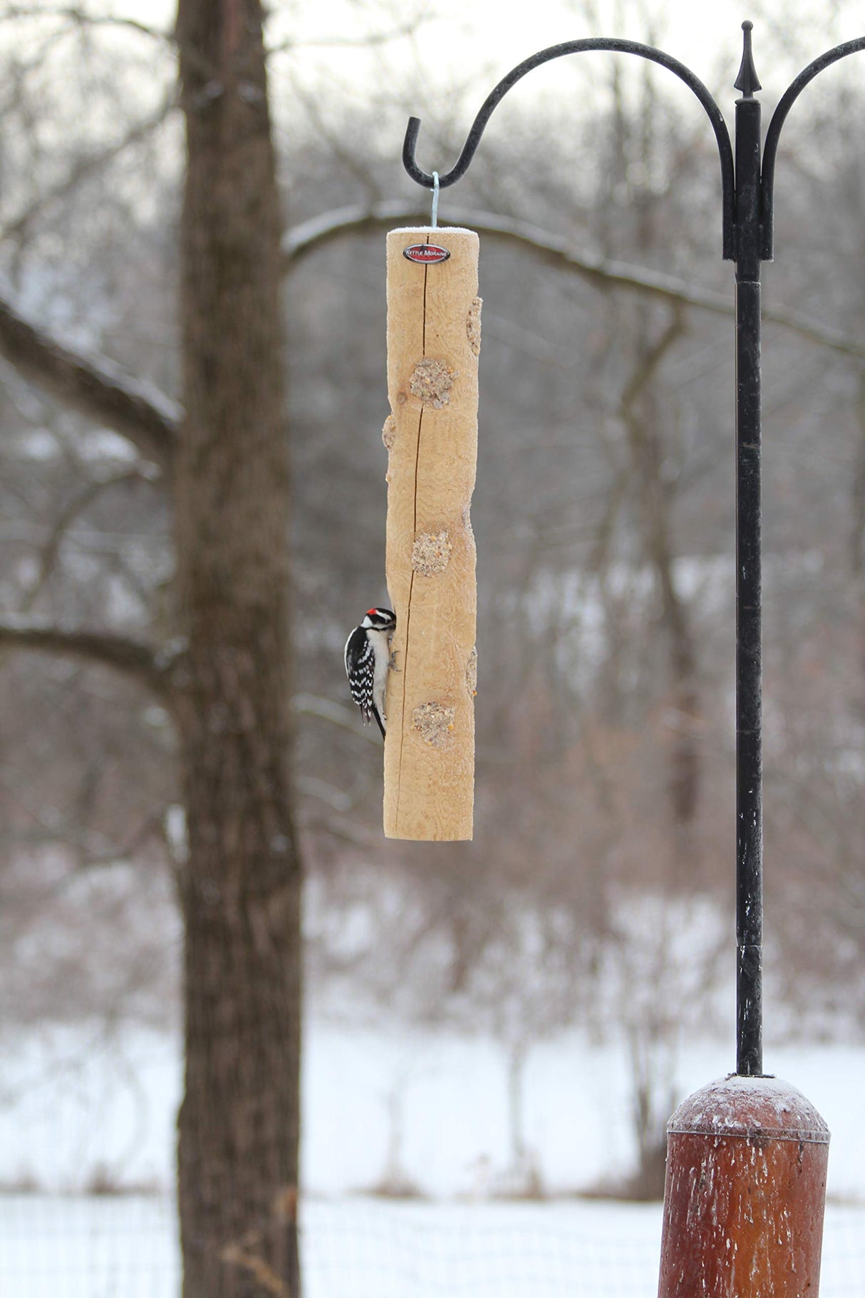 Kettle Moraine Large Cedar Suet Log Feeder for Woodpeckers and Chickadees Kettle Moraine