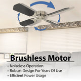 RecPro RV 12V Ceiling Fan | 4-Blade | 4-Speed | Near Silent Operation | Reversing Direction Wall Control (Brushed Nickel: Black Blades, 36") RecPro