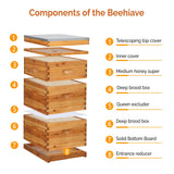 VINGLI 10-Frame Bee Hive, Wax Coated Beehive Starter Kit with Frames & Beeswax Coated Foundation Sheets (3 Layer) VINGLI