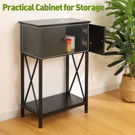 LAQUAL 10 Gallon Fish Tank Stand with Cabinet, Double Aquarium Stand for 10 & 5 Gallon Fish Tank, Heavy Metal Stand with Stable Structure, Adjustable Table Feet & Anti-tilt Device - Black LAQUAL