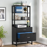 Tribesigns Modern 2 Drawer Vertical File Cabinet with Lock and Open Bookshelf Storage, Black Tribesigns
