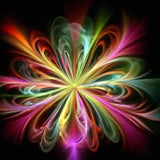 Bimkole 5D Diamond Painting Kits Flowers Glitter Leaves, Full Drill Abstract DIY Rhinestone Embroidery Set Paint with Diamonds Art by Number Kits Cross Stitch Home Wall Craft Decoration (12x12inch) Bimkole