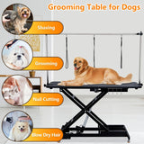 60 Inch Electric Dog Grooming Table, Hydraulic Grooming Table for Dogs at Home, with Remote Control Adjustable Overhead Arm & Anti Slip Tabletop & Tool Organizer, Large Pet Grooming Station, Black PioneerWorks