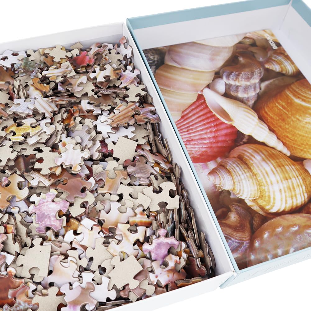 BEDUKE Jigsaw Puzzles for Adults 1000 Pieces Beach Shells 1000 Piece Puzzle Thick Sturdy Precise Interlocking Family Game Age 14+ BEDUKE