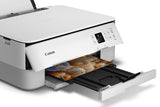 Canon PIXMA TS5320 All in One Wireless Printer, Scanner, Copier with AirPrint, White, Works with Alexa Canon