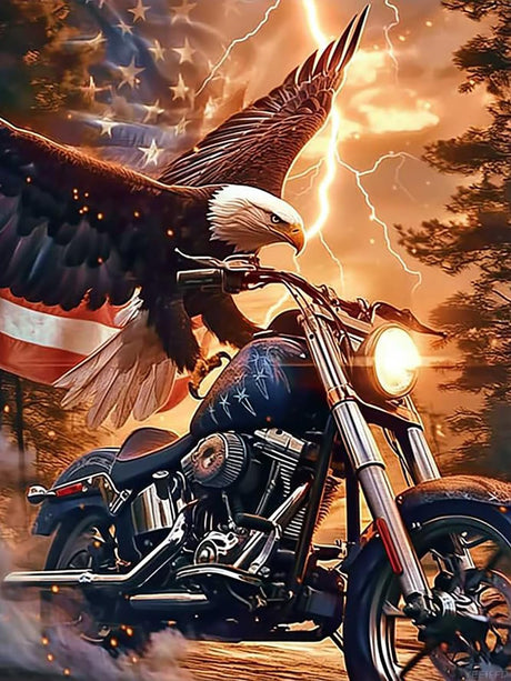 YEEIFFD Colorful Eagle Motorcycles Diamond Art Painting Kits for Adult, Vehicles 5D Diamond Art for Adults, Round Drill Painting by Diamonds Art and Crafts for Home Wall Decor Gift 12x16 Inch YEEIFFD