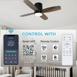 Ohniyou Ceiling Fan with Lights - 38'' Small Flush Mount Ceiling Fans Remote & APP Control - Dimmable Indoor Outdoor Quiet DC Low Profile Ceiling Fan for Patio Kitchen Bedroom(Black) Ohniyou