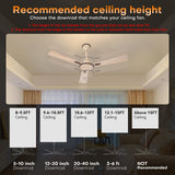 36 inch Ceiling Fan Downrod with Extension Cord,3 FT Downrod for Ceiling Fan,1 inch Outside Diameter,Ceiling Boom Suitable for a Wide Range of Fans (Gold,Not Threaded) Ruiyang