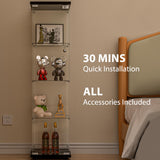 FANYUSHOW Glass Display Cabinet with Door and Lock, Quick-Install Style 4-Shelf Curio Cabinet 5mm Tempered Glass Floor Standing Bookshelf for Living Room, Bedroom, 65" H x 17''L x 14''W (Black) FANYUSHOW