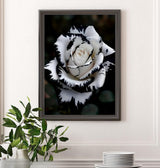 BYGFHLYW Diamond Painting Kits for Adults, White Rose Flower Diamond Art Kits for Adults Beginner, 5D DIY Full Drill Diamond Dot Gem Art Home Wall Decor 12x16inch BYGFHLYW