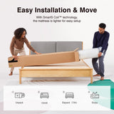 Novilla Twin Mattress, 8 Inch Twin Size Mattresses in a Box with Smarts™ Coil for Pressure Relief, Medium Plush Foam and Spring Hybrid Colchones with CertiPUR-US Certified for Kid for Kidss Novilla