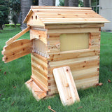 Golden Palace Bee Hive, Beehive with 7pcs Auto Super Frames, Bee House with 1pcs Super Boxes, 1pcs Brood Boxes(No Brood Frames), Bee Hives Starter Beekeeping Kits Golden Palace