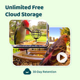 Birdfy AI Smart Bird Feeder with Camera, High-End Bamboo, Mini in Size, Solar Powered, Permanent AI Identifies 6000+ Bird Species with Motion Detection, Ideal Gift Present Birdfy