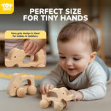 TOY Life Wooden Toys Cars, Animal Wooden Cars, Montessori Toys for Babies 0-6-12 Months, Wooden Baby Toys for 1 Year Old Boy Christmas Birthday Gift, Baby Boy Nursery Decor, Elephant & Rabbit Toy Car TOY Life