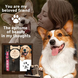 Pet Memorial Shadow Box for Dog Cat with Pet Paw Print Impression Kit, Dog Wood Picture Frame Memorial Gifts for Loss of Dog Pets Sympathy Gift PIPIONE
