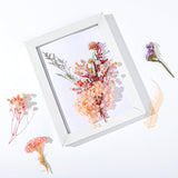 Real Dried Flowers, Natural Dry Flowers Mixed Natural Pressed Flowers Flores Secas Dried Florals for Crafts,Resin,Candle Making (Multicolor 2) auroray