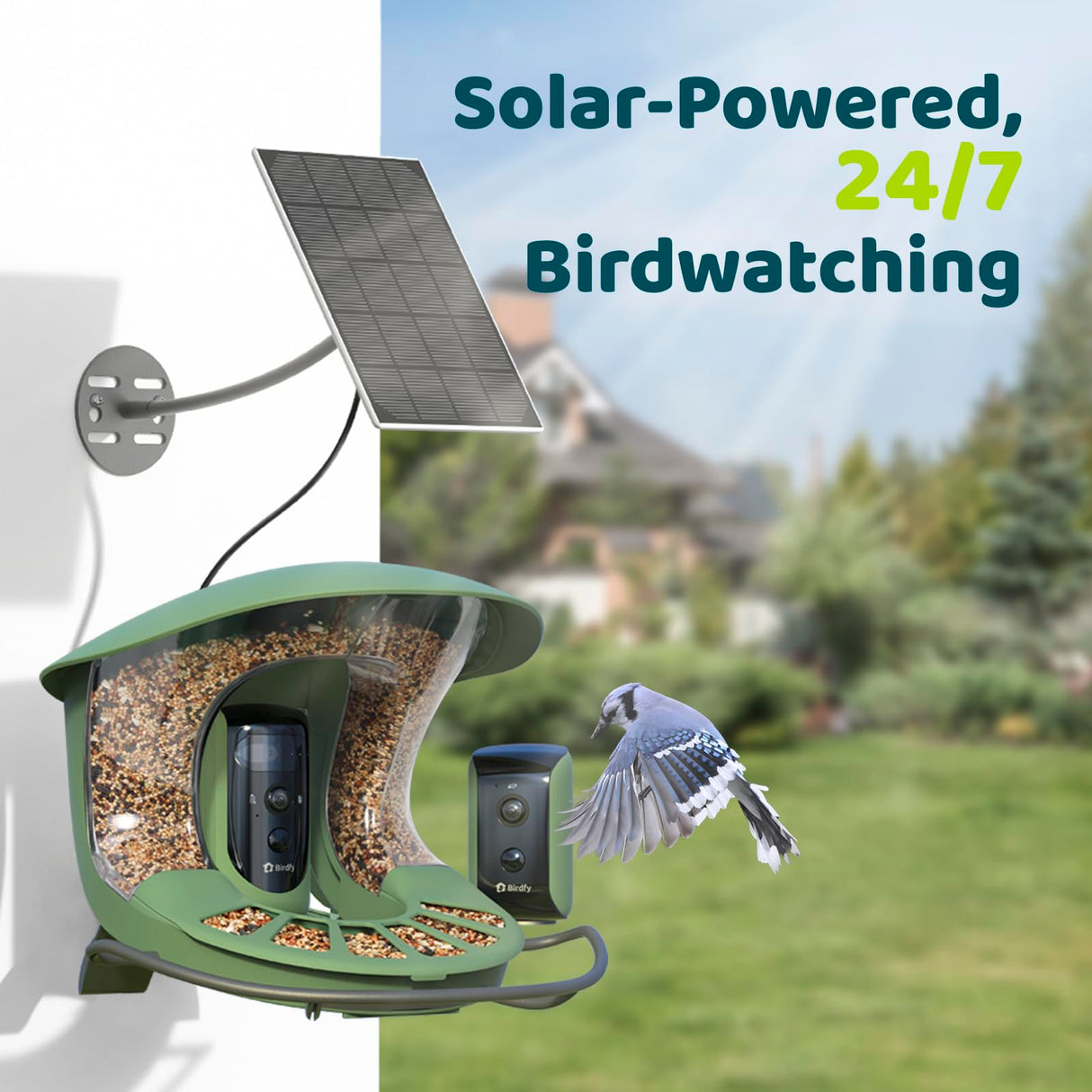 Birdfy 2 Smart Bird Feeder 3 Lenses & 2 Cameras, Dual Angles, Solar-Powered, Wireless Birdwatching, Permanent AI Identify 6000+ Bird Species & Motion Detection, Gift Present Birdfy