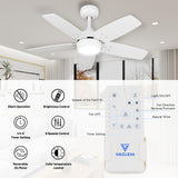 Vagizm Ceiling Fan 36'' for Small Room: Matte White Modern Fans with Light Remote Control - Reversible Quiet DC Motor Dimmable with 6 Speeds for Dorm Room Bedroom Indoor Outdoor Use Vagizm