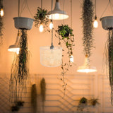 Baluue Rattan lampshade Drum lamp Shades Rattan Light Fixture Wicker lampshade Bedside lampshade lamp Victorian lamp Shade Hand Woven Rattan lamp Cover e27 Hanging Light kit Baluue