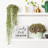 Country Home Farmhouse Sign Desk Decor Wooden Box Sign Housewarming Gift Rustic Wood Block Plaque Box Sign for Living Room Kitchen Bathroom Shelf Table Decoration Country Roads Take Me Home Sign HTBIG