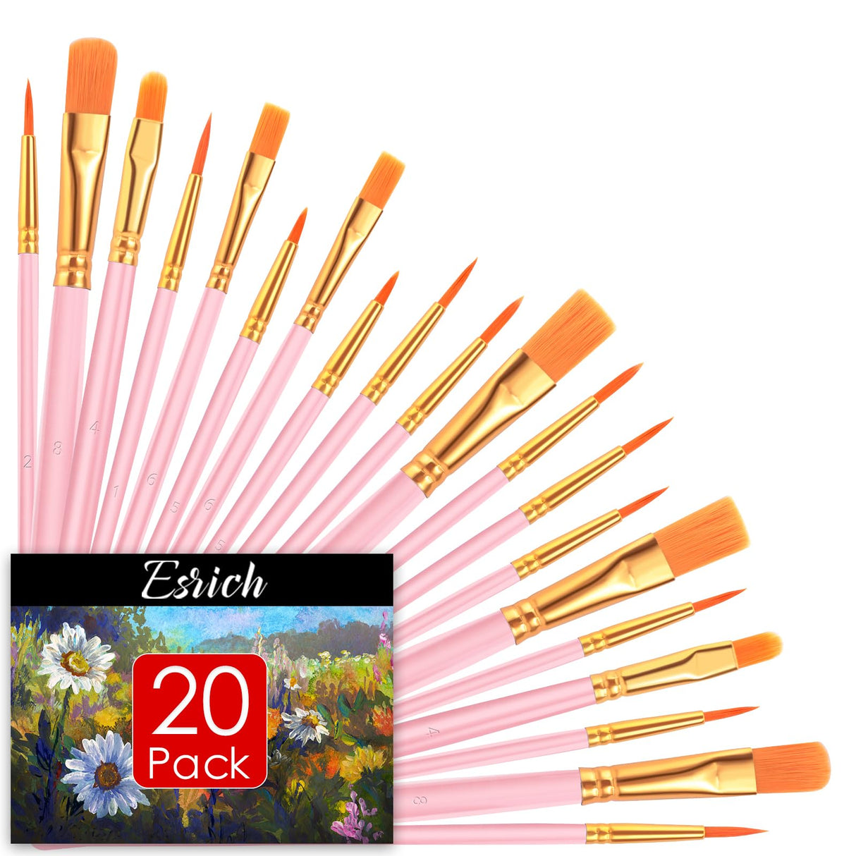ESRICH Paint Brushes, 2 Packs / 20 Pcs Nylon Miniature Paintbrushes, Face and Body Watercolor Oil Painting Artist Professional Acrylic Paint Brushes Set,Pink ESRICH