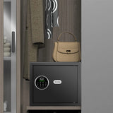 Biometric Home Safe, Fingerprint Gun Safe Lock Box,Money Box for Jewelry Handgun Cash Valuables,Perfect for Home/Office/Hotel, Black,1.2 Cubic Feet VoleStay