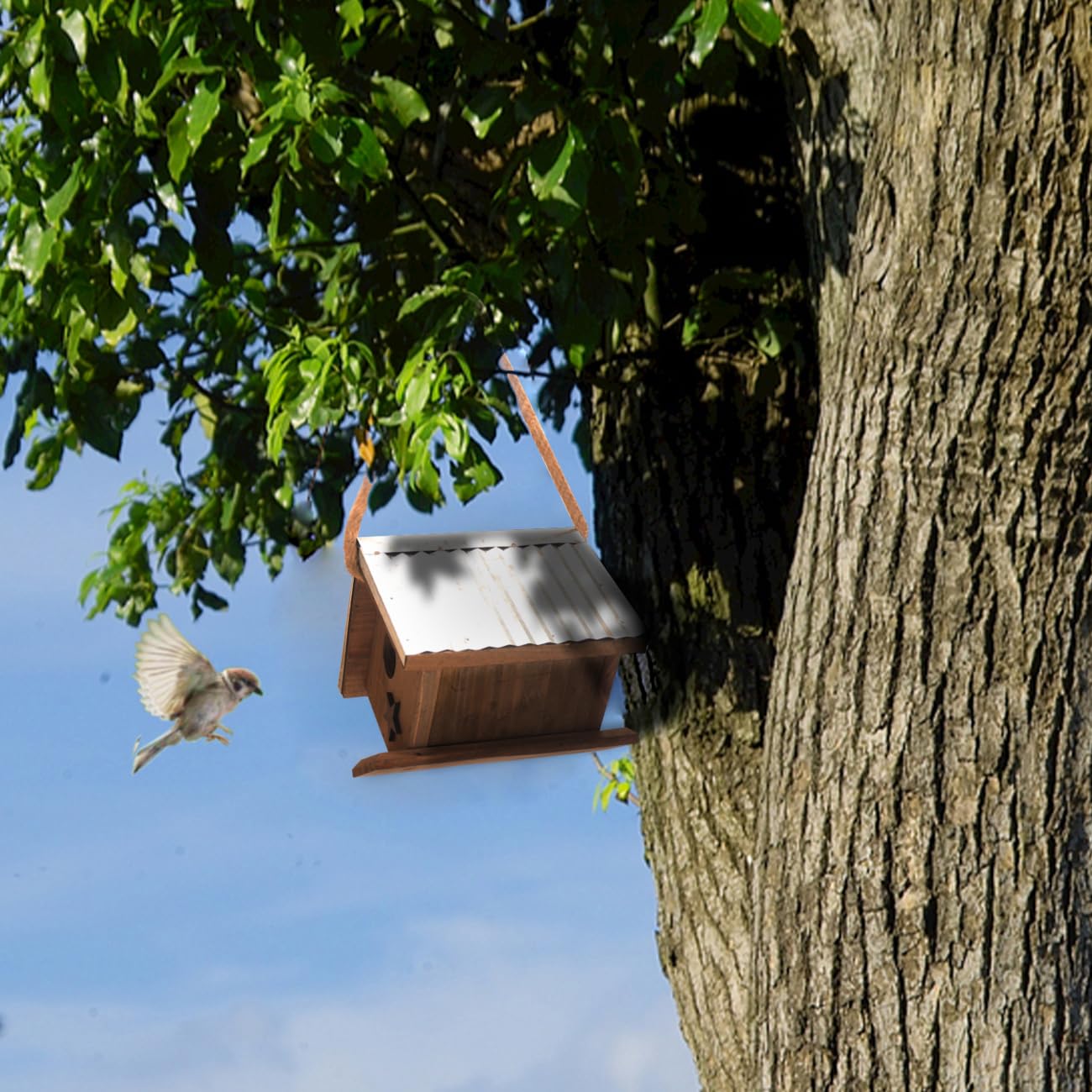 Cedar Wren House, Metal Roof Bird House for Wrens and Chickadees. Longime Lasting and Easy Cleaning; 5 Years Outdoor Performance, Weatherable. Wooden Birdhouse Bird House