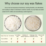 DINGPAI Soy Wax for Candle Making, 5LB Organic Soy Candle Wax Flakes Natural Candle Making Supplies,50 Cotton Wicks,50 Wick Stickers,10 Wick Holders DINGPAI
