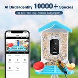Bird Feeder with Camera, 2K HD AI Identify Bird Species & 64G SD Card, Smart Bird House with Cam, Solar Bird Feeder Camera, Bird Watching Camera, Auto Capture Bird Videos, Gifts for Bird Lovers AUTGA