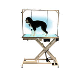Cove Products LED Lit Master Groomer Electric Lift Grooming Table (Basic Package) Cove Products